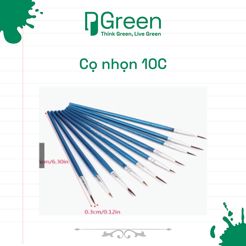 Cọ nhọn 10C